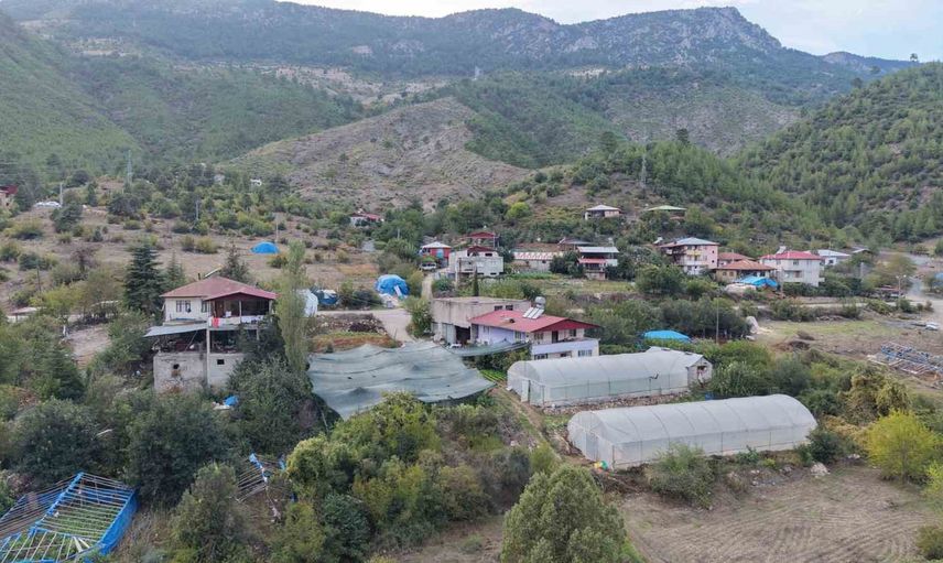 Saimbeyli'de yarım dönüm ahududu bahçesi ekonomik fırsata dönüştü