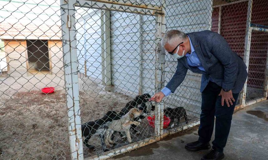 Yatırımdan sahaya: vali Yılmaz Şimşek kentteki projeleri yerinde inceledi