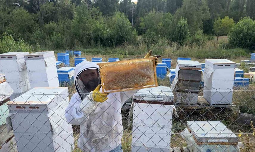 nalbur dükkanından 250 kovana: hobiyle başlayan arıcının hedefi 400 kovan