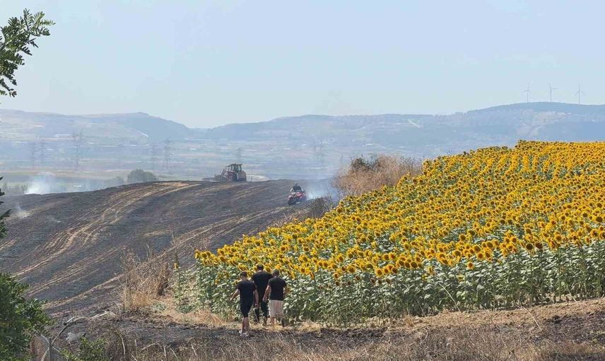 Çatalca Nakkaş mevkiinde tır yangını tarım arazilerine sıçradı