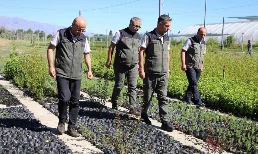 Erzincan fidanlığında 2026 üretim programı saha denetimi