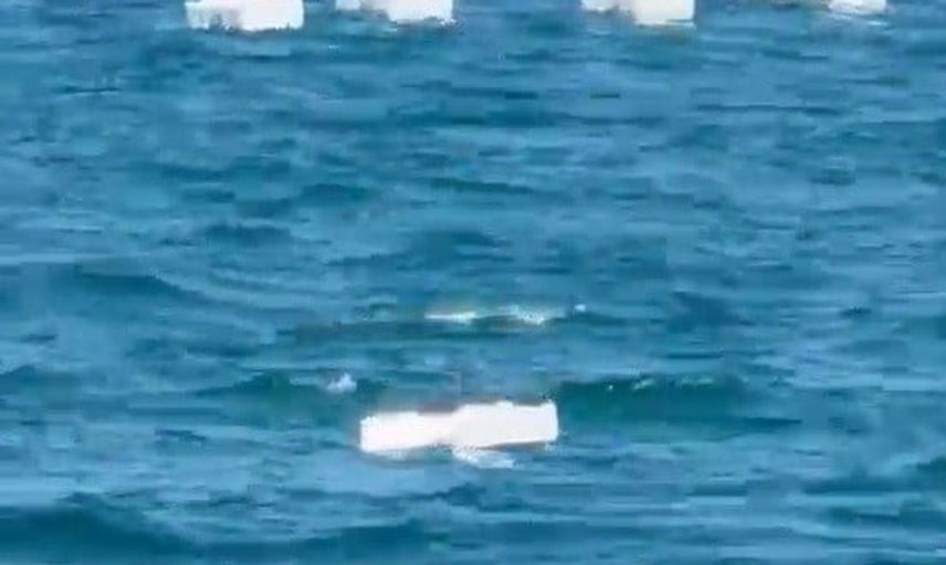 Çeşme'de Paşalimanı sahili köpük kutularla kirleniyor