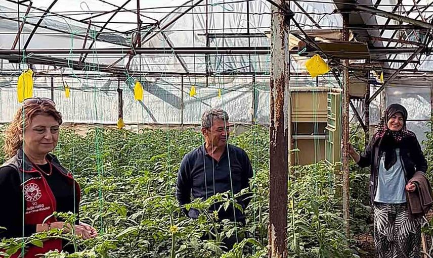 Dalaman’da seralarda sürdürülebilir üretim için denetimler yoğunlaştı