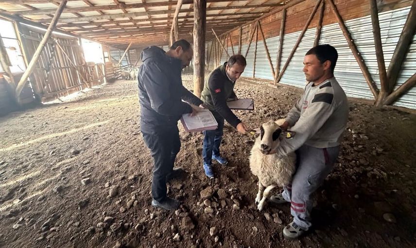 Orköy destekleri Seben'de üretimi ve yaşam konforunu yükseltti