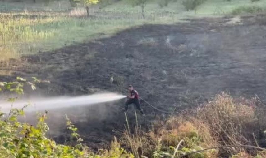 Tarlada atılan kıvılcım rüzgarla yayıldı, Kaynarca'da 4 dönüm otluk zarar gördü