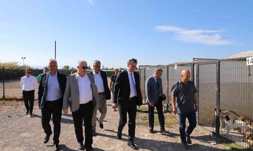 Edremit kaymakamı Zafer Engin can dostların bakımını yerinde değerlendirdi