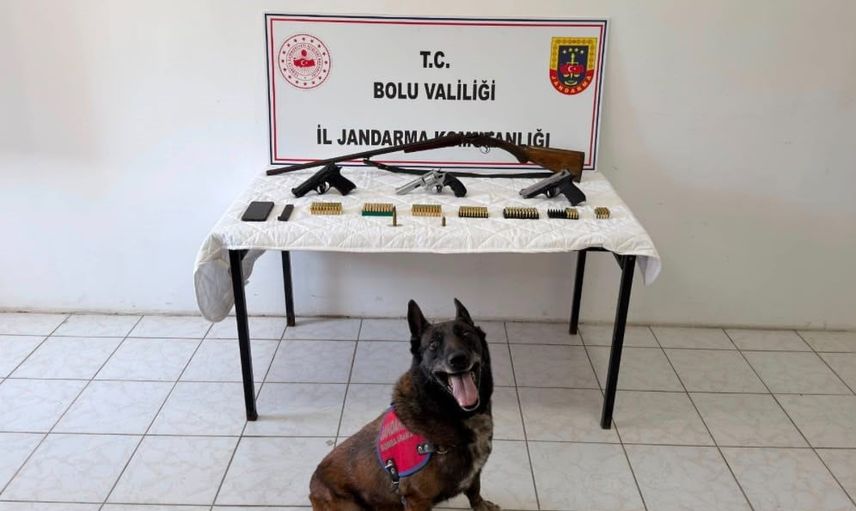 Bolu'da jandarmanın baskınında evden çok sayıda silah ve mühimmat çıktı, şüpheli tutuklandı