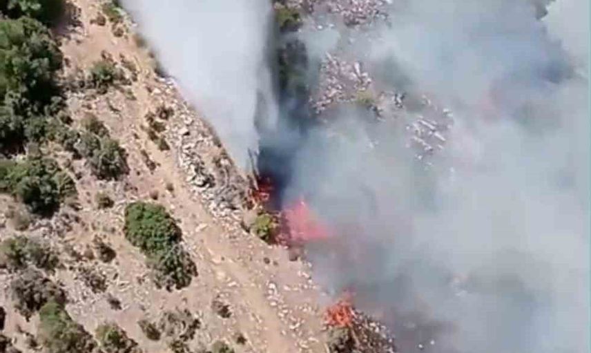 Kiraz'da ziraat arazisinden ormana sıçrayan yangına çok yönlü müdahale