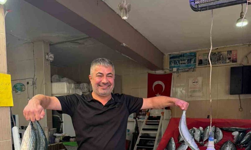 Türkeli'de palamut bolluğu vatandaşa uygun fiyat getirdi