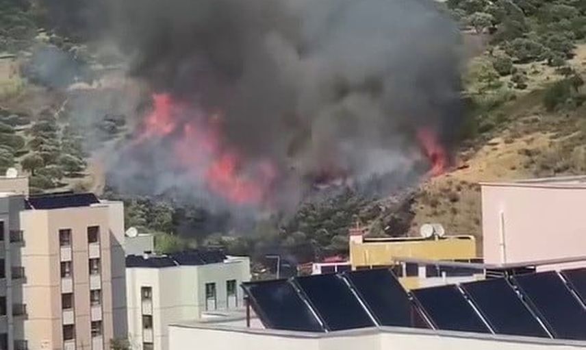 Hatay'da zeytinlikte çıkan yangın itfaiyenin hızlı müdahalesiyle sınırlandı