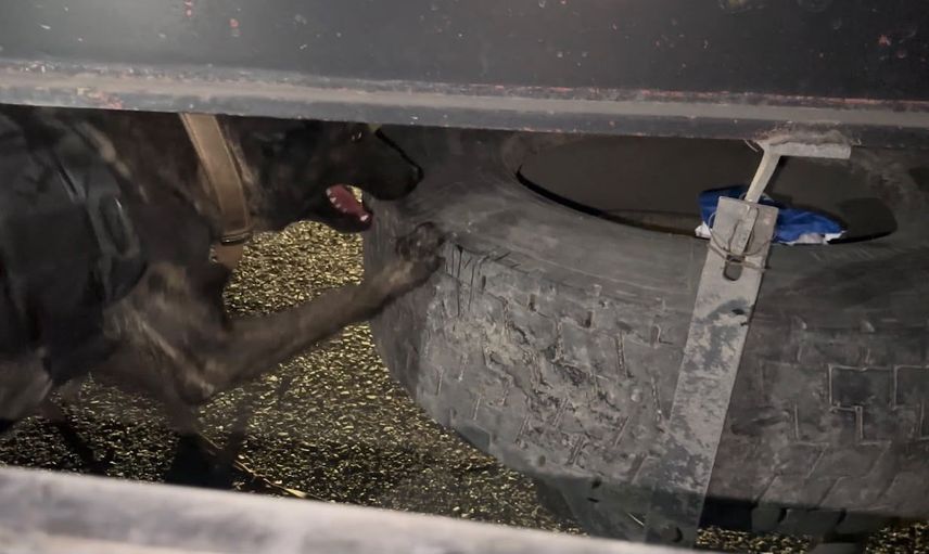 Iğdır'da yol kesen operasyon: tır ve ikamet aramalarında 1 kilo 28 gram esrar ve metamfetamin ele geçirildi, iki kişi tutuklandı