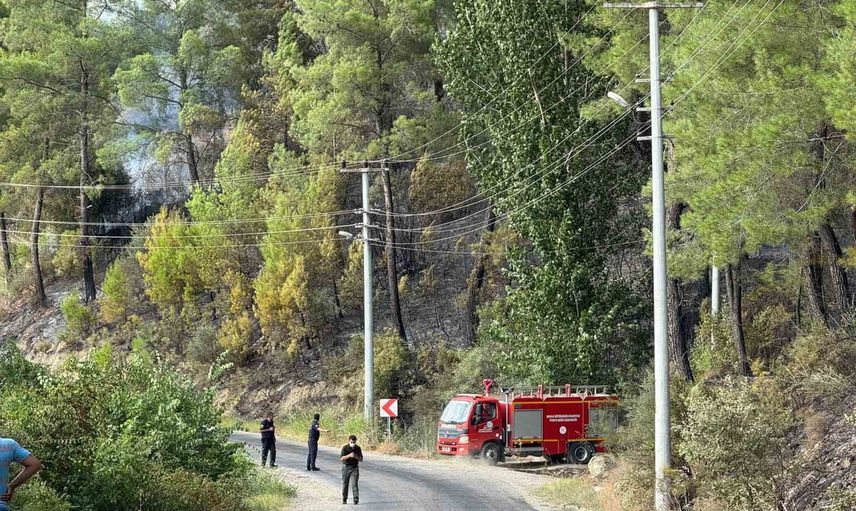 Seydiler Mahallesi'nde orman yangını ekiplerin müdahalesiyle kontrol altına alındı