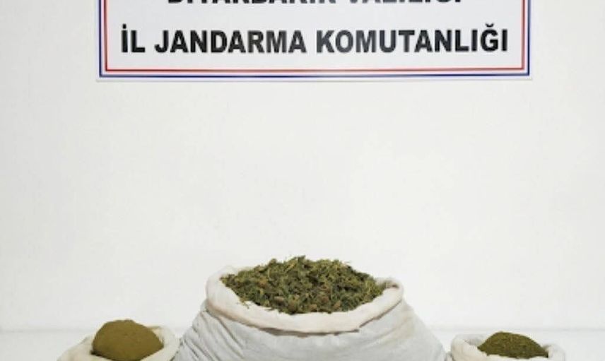 Jandarmadan Diyarbakır'da kapsamlı kenevir operasyonu