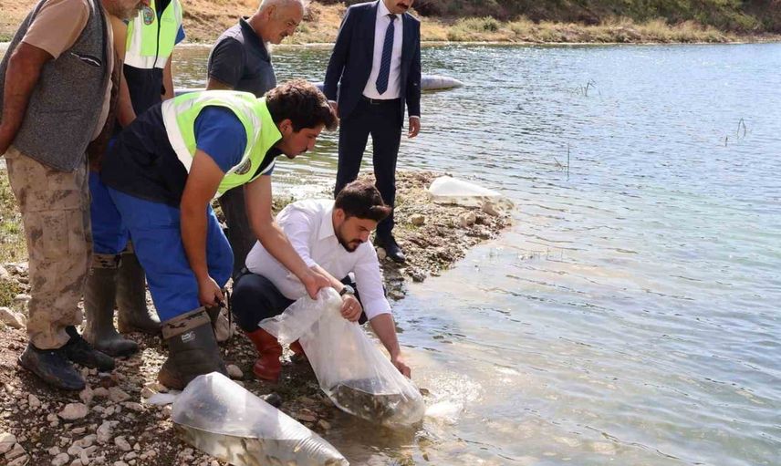 Bitlis'in gölleri ve göletleri yavru sazanla güçlendi