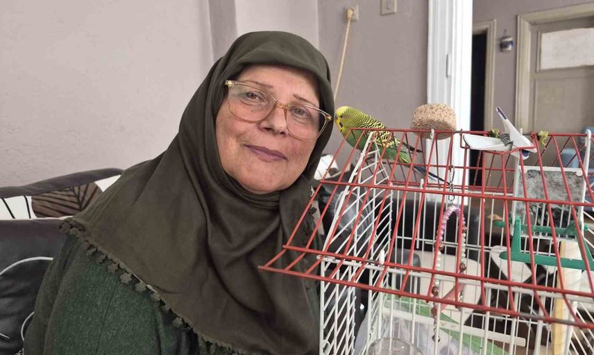 Yalnızlığına ortak olan Fıstık: ölmek üzereyken sahiplendiği muhabbet kuşu hayat arkadaşı oldu