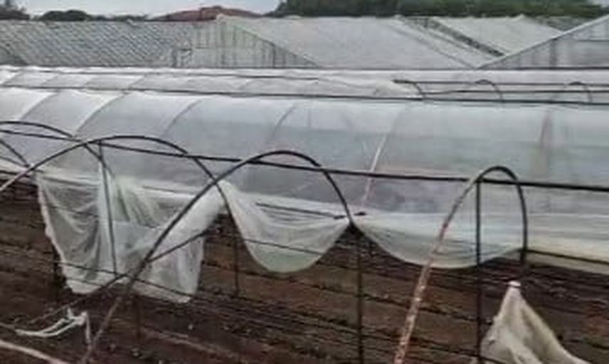 Kumluca'da denizden karaya çıkan hortum iki seraya zarar verdi