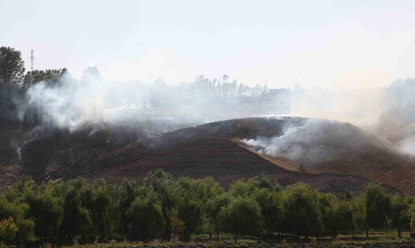 Ahlat'ta örtü yangını itfaiyenin hızlı müdahalesiyle söndürüldü
