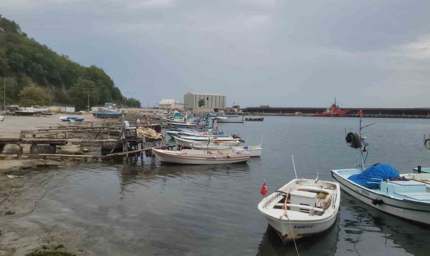İnebolu’da ağlar denize açılmayı bekliyor: palamut umudu ve liman kaygısı