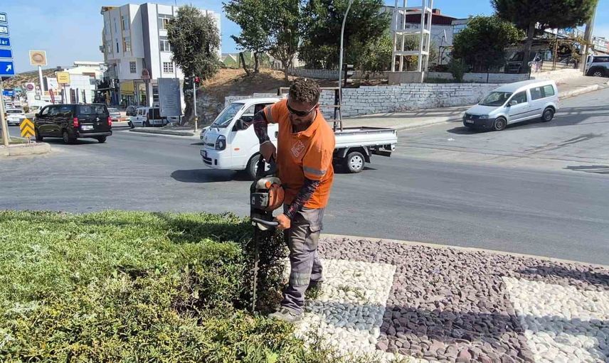 Kuşadası’nda yeşil dokunun bakımı ve düzenlemesi