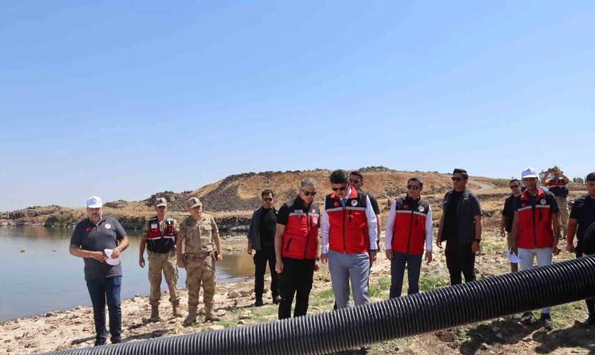Kilis göletleri 600 bin yavru balıkla güçlendirildi
