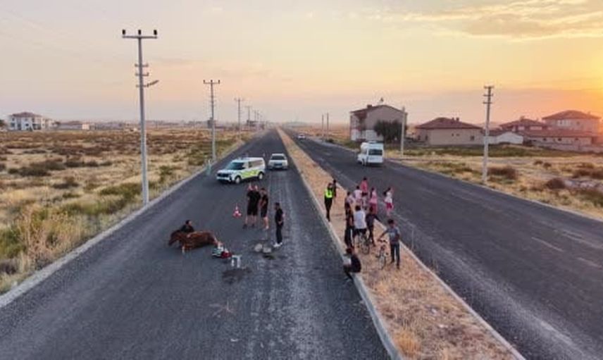 Beklenen yardım gelmeyince 4 saatlik kurtarma çabasıyla taşınan yaralı at