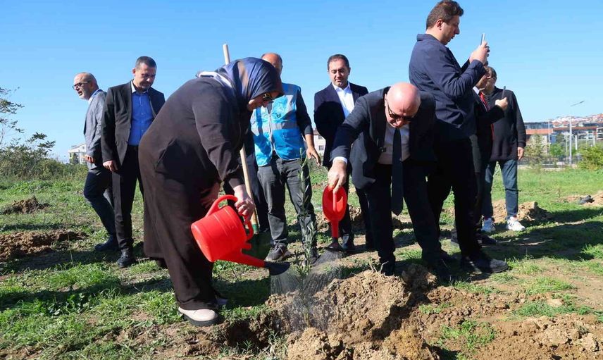 Darıca millet bahçesi'ne 100 zeytin fidanı: yeşil mirasa yatırım