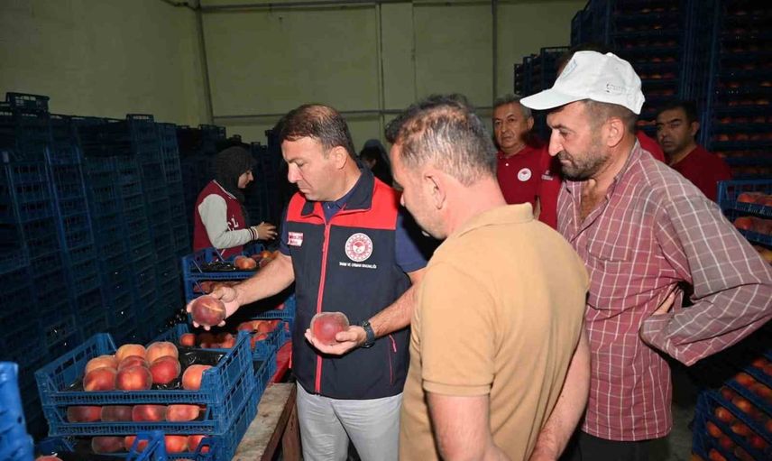 Çivril'de şeftali üretiminden pazarlamaya yerinde inceleme