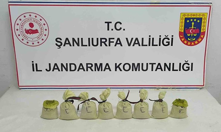 Suruç'ta jandarmadan 8 paketlik esrar operasyonu