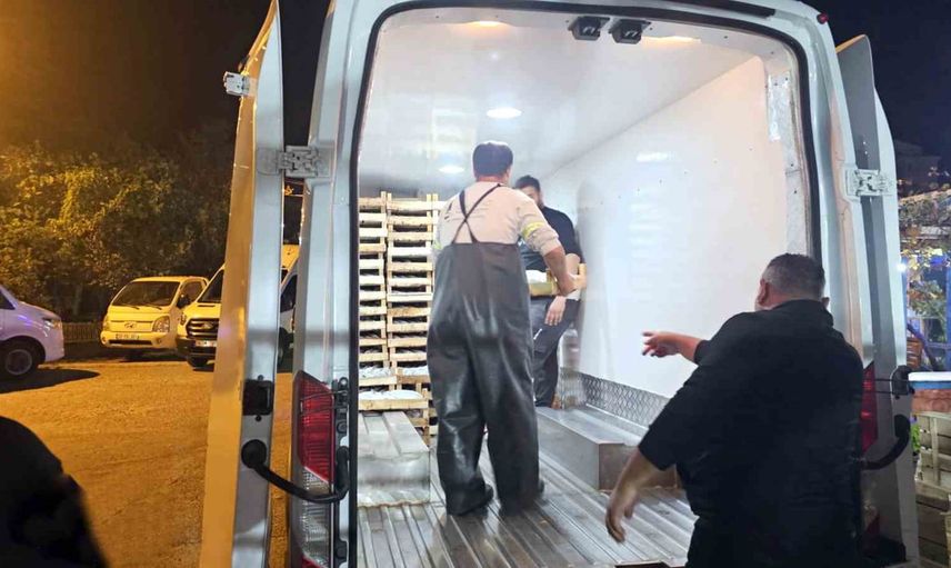 Karadeniz’de palamut bolluğu: 3 saatte 15 bin balık limana getirildi