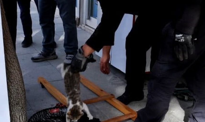 Kepenge sıkışan kedi itfaiyenin müdahalesiyle kurtarıldı
