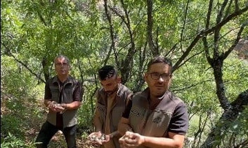 Tunceli'de endemik dağ sarımsağına izinsiz müdahale üç kişiye 2 milyon 97 bin 735 lira ceza