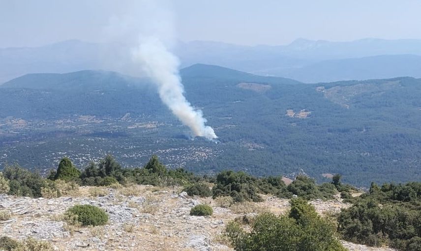 Menteşe'de makilikte başlayan yangın ormanlığa sıçradı