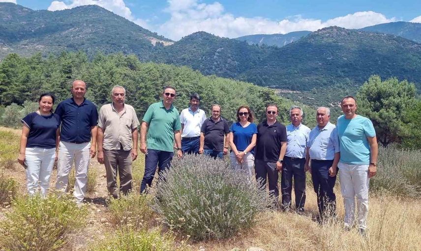Fethiye'de distilasyon tesisi için tıbbi ve aromatik bitki bahçeleri yerinde değerlendirildi