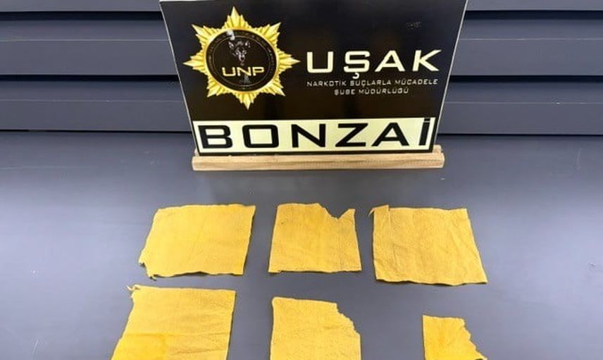 Uşak'ta sentetik baskın: 14 şüpheli cezaevine gönderildi