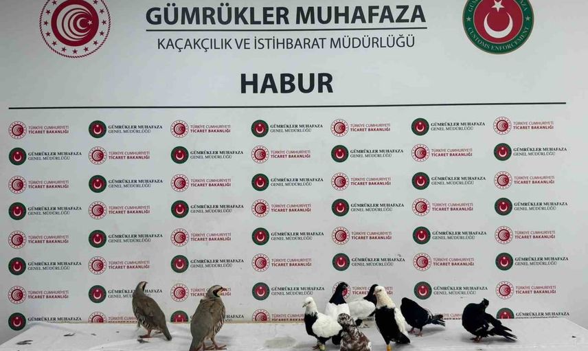 Gümrük muhafaza ekipleri ocak-ağustosta 81 milyar 970 milyon liralık kaçakçılığı engelledi