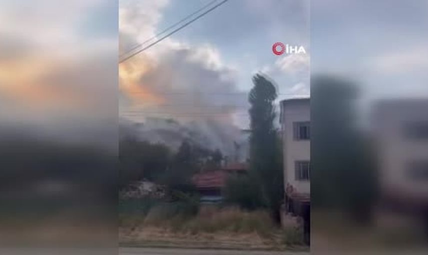 Keçiören'de Yeşilöz Mahallesi'nde ağaçlık alanda yangın