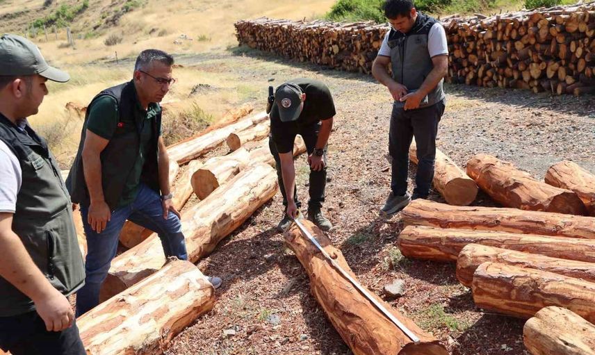 Orman üretiminde kalite ve düzen sağlanıyor: Antakya sahalarında inceleme