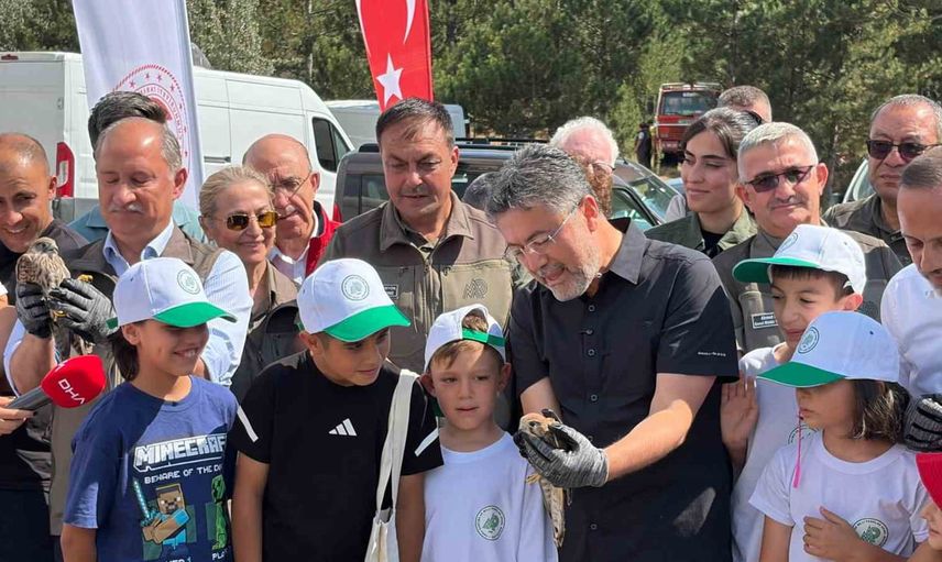 Çocukları ekrandan alıp doğaya taşıyan aile kampı ve 696 milli park