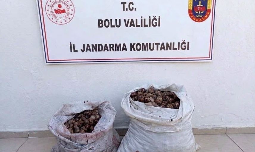 Bolu'da denetimde yakalanan iki kişi 60 kilogram salyangozla idari yaptırıma uğradı