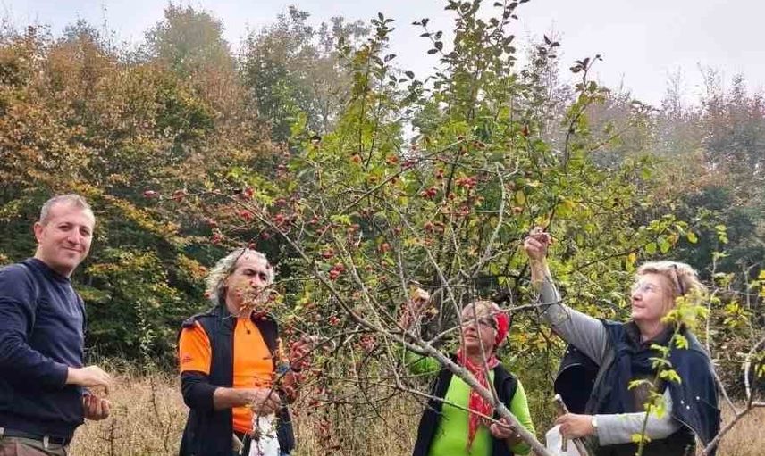 Sonbaharın paletiyle Gerze'de doğada buluşma