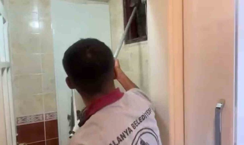 Havalandırma boşluğundan kurtarılan kedi muayene edilip kısırlaştırıldı