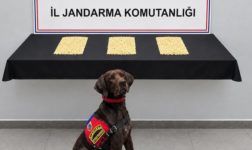 Eyyübiye'de jandarmadan operasyon: 2 bin 970 captagon hapı ele geçirildi