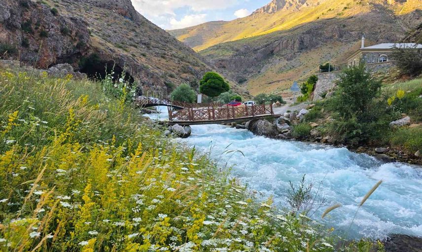 Eriyen karlar ve dereler Bahçesaray'da yaban hayatını yeniden canlandırıyor