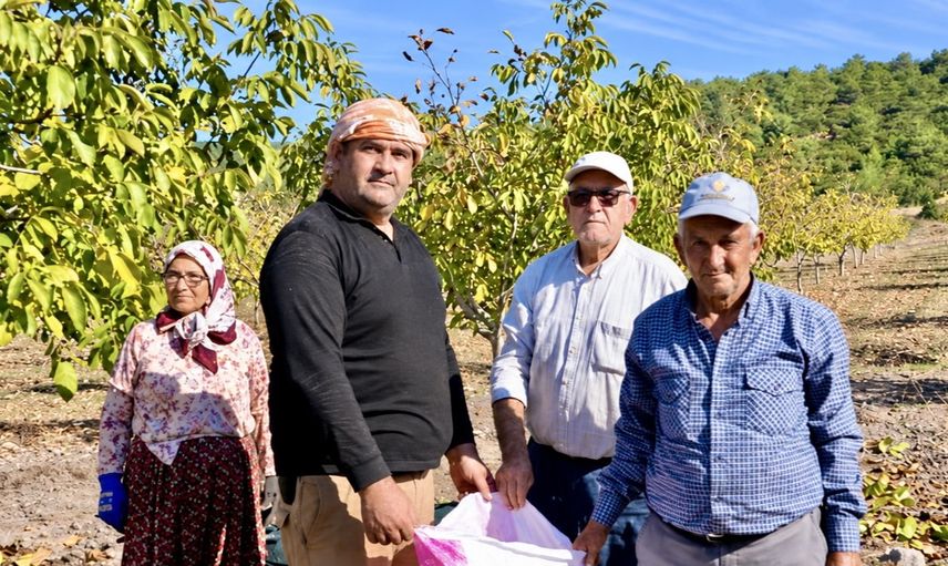 orman köylüsünün gelirini artıran ağaçlandırma sahaları ürün vermeye başladı