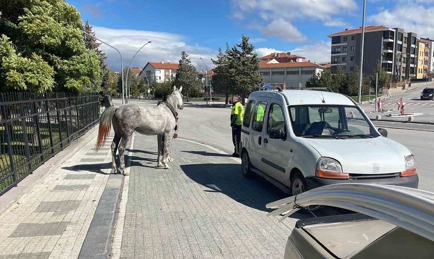 Karaman'da kaçış sırasında otomobile çarpan atın anı görüntülendi