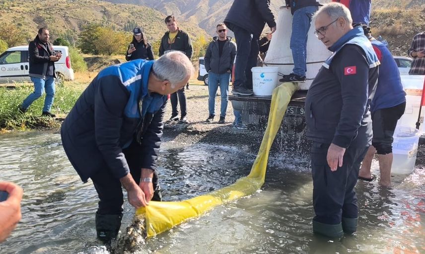 Hazar Gölü sazan kupası spor ve korumayı buluşturdu: 422 balık göle bırakıldı