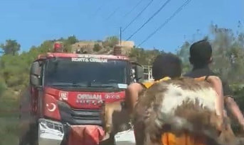 İki kuzen sırtlarında oğlağı taşıyarak alevlerden kurtardı