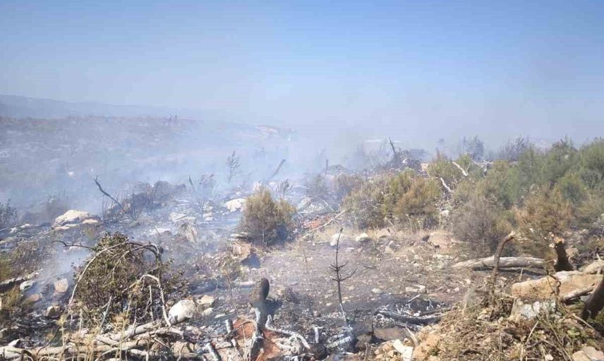 Kozağaç'ta makilik yangını ekiplerin hızlı müdahalesiyle kontrol altına alındı