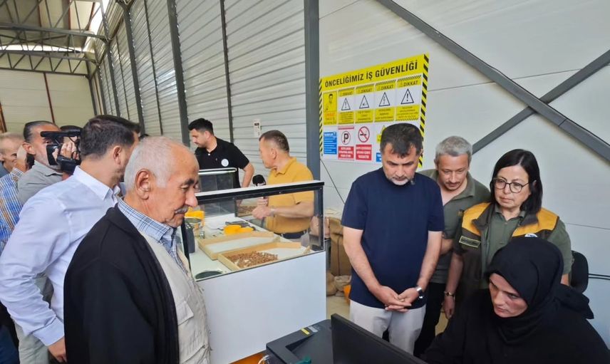 Yığılca üreticisine kolaylık: TMO fındık alım merkezi hizmete girdi
