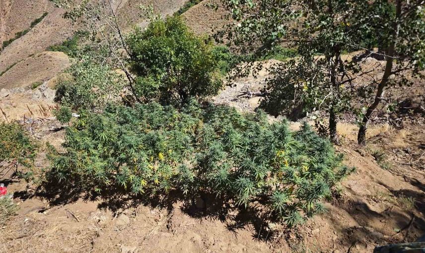 Bingöl'de jandarmanın haftalık operasyonlarında 38 şüpheli yakalandı